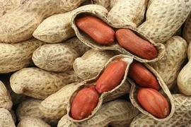 Bất ngờ lạc là nhân sâm giới ngũ cốc, chữa nhiều bệnh