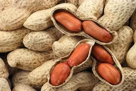 Bất ngờ lạc là nhân sâm giới ngũ cốc, chữa nhiều bệnh