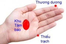 Kích thích huyệt tay kết hợp yoga, khắc phục đau mỏi mắt