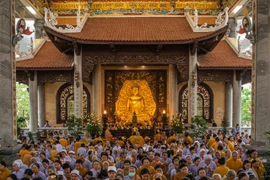 Lý giải khoa học về các phương pháp "chữa lành"