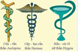 Những bí ẩn độc đáo của rắn trong thần thoại và y học các nước
