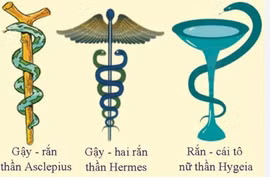 Những bí ẩn độc đáo của rắn trong thần thoại và y học các nước