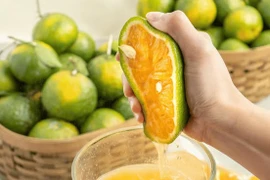 Loại nước nhiều canxi hơn sữa bò, uống đến đâu xương khỏe đến đó