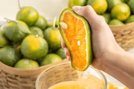 Loại nước nhiều canxi hơn sữa bò, uống đến đâu xương khỏe đến đó