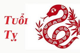 Tử vi người tuổi Tỵ