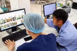 2 vợ chồng trẻ hôn mê sâu, suy đa tạng sau khi ăn nấm rừng