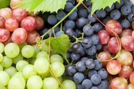 Trái cây được mệnh danh là “kẹo thiên nhiên” ngừa ung thư, tim mạch...