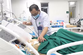 Tan máu, suy đa tạng... do mắc sốt rét sau chuyến công tác nước ngoài