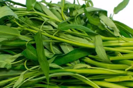 3 loại rau bổ hơn thịt, rẻ hơn thuốc: Sánh ngang nhân sâm tổ yến