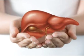 Thực phẩm "vạn người mê" là kẻ thù thầm lặng khiến gan tổn thương trầm trọng