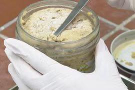 Pate chế biến và bảo quản sai cách dễ ngộ độc Botulinum