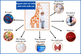 Bác sĩ mách cách nâng cao tầm vóc cho trẻ thấp còi