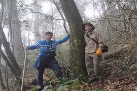 Cáp treo Fan và câu chuyện “kho báu” trong đại ngàn Hoàng Liên Sơn