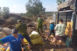 Tiêu hủy 129 kg kẹo Trung Quốc không rõ nguồn gốc