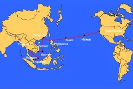 Cáp quang biển AAG có thể mất 1 tháng để sửa