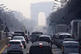 Pháp sẽ cấm sử dụng xe động cơ diesel