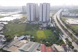 Kiểm soát năng lực tài chính để chặn tiêu cực trong đấu giá đất