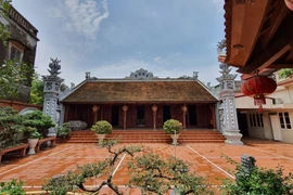 Nội thất độc nhất vô nhị trong biệt thự của đại gia Hà thành 