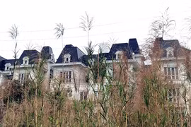 Thị trường trầm lắng, môi giới tay ngang tháo chạy 