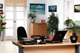 Bài trí bàn làm việc theo phong thủy để thăng tiến vèo vèo 