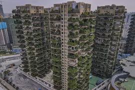 Muỗi tấn công chung cư sinh thái khiến cư dân “tháo chạy“