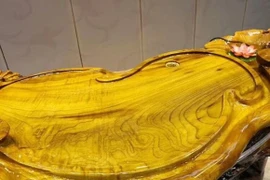 Bật mí loại gỗ quý hơn vàng, giá cao ngất ngưởng 800 tỷ 