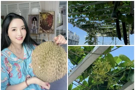 Cận cảnh biệt thự xa hoa ngập rau xanh của Hoa hậu Giáng My