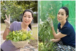 Khám phá vườn rau xanh mướt trong biệt thự của NSND Trịnh Kim Chi