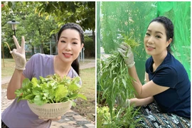 Khám phá vườn rau xanh mướt trong biệt thự của NSND Trịnh Kim Chi