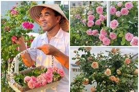 Vườn hồng như cổ tích trong biệt thự của MC Quyền Linh
