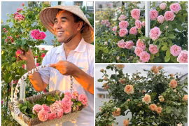 Vườn hồng như cổ tích trong biệt thự của MC Quyền Linh