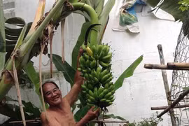 Đọ nhà đẹp sao Việt xây cho bố mẹ trước khi lập gia đình