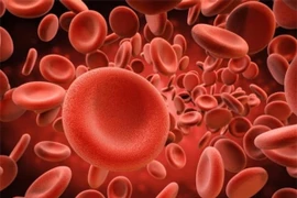 Tại sao muỗi đốt người này nhưng lại bỏ qua người khác?