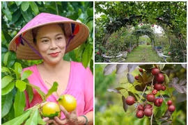 Có gì trong khu vườn hơn 10.000m2 của ca sĩ Mỹ Lệ?