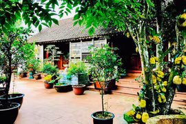 Vườn cây cối xanh mướt trong biệt phủ 1.000m2 của Vượng Râu