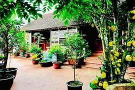 Vườn cây cối xanh mướt trong biệt phủ 1.000m2 của Vượng Râu