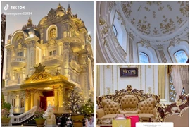 Bên trong lâu đài dát vàng của đại gia Long An gây sốt