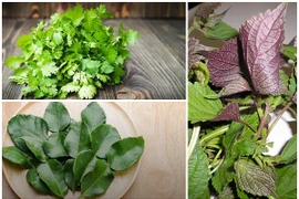Rau gia vị mọc nhan nhản ở Việt Nam đắt cỡ nào ở nước ngoài?