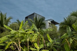 Ngôi nhà con gái tặng mẹ mang tên “nhà đom đóm“