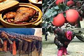 4 đặc sản giá tiền triệu vẫn được săn lùng dịp Tết