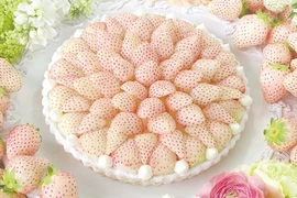 Điều chưa biết về dâu tây giá tiền triệu, khách vẫn đua nhau mua 