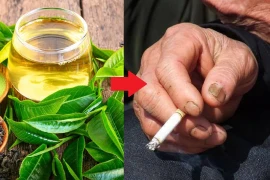 3 thực phẩm để thải chất độc cho người thường xuyên hút thuốc