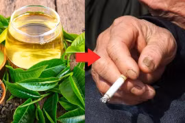 3 thực phẩm để thải chất độc cho người thường xuyên hút thuốc