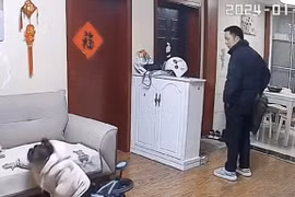 Thấy con gái ngã xe, bố làm lơ và cách dạy con cực hay