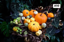 Hàng loạt đồ trang trí Hallowen độc lạ đổ bộ chợ mạng