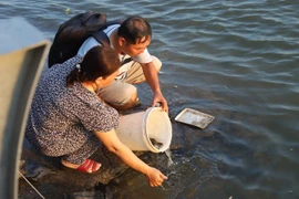 Đau lòng cảnh người thả cá phóng sinh, người chờ vớt để bán lại