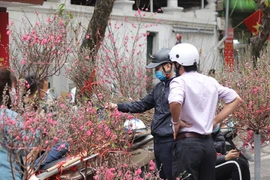 Hà Nội: Muốn sắm hoa Tết đẹp, rẻ… đến ngay 5 chợ hoa Tết này