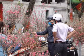 Hà Nội: Muốn sắm hoa Tết đẹp, rẻ… đến ngay 5 chợ hoa Tết này