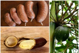 3 loại quả “quý hơn vàng”, có tiền cũng khó mua 