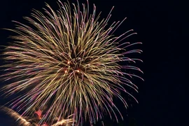 Người dân vỡ òa trước màn pháo hoa đêm 27/4 tại TP.HCM